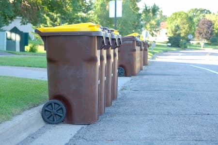 Trash Bin Cleaning